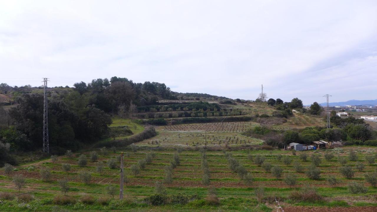 Agroturisme Cal Jeroni Avinyonet del Penedes Exterior foto